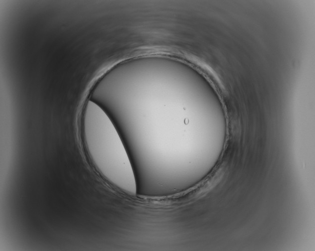 X0000099511365200805151002