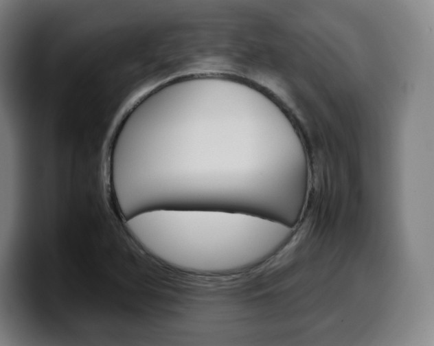X0000099511366200805151002