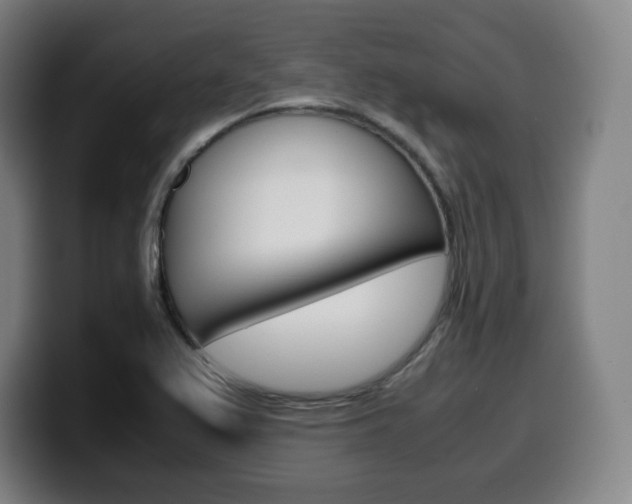 X0000099511367200805151002