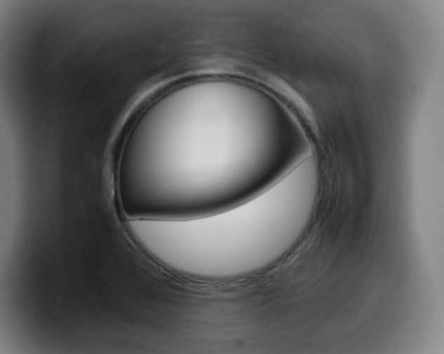 X0000099511368200805151002