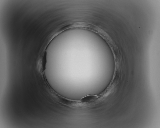 X0000099511369200805151002