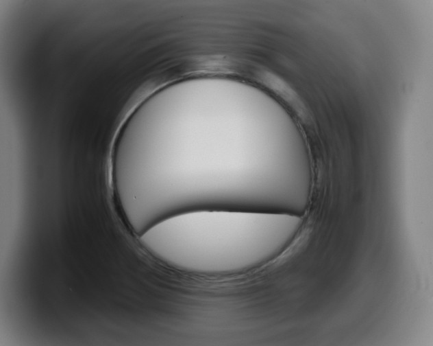 X0000099511370200805151002