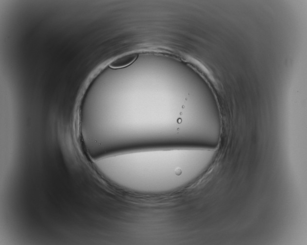 X0000099511371200805151002
