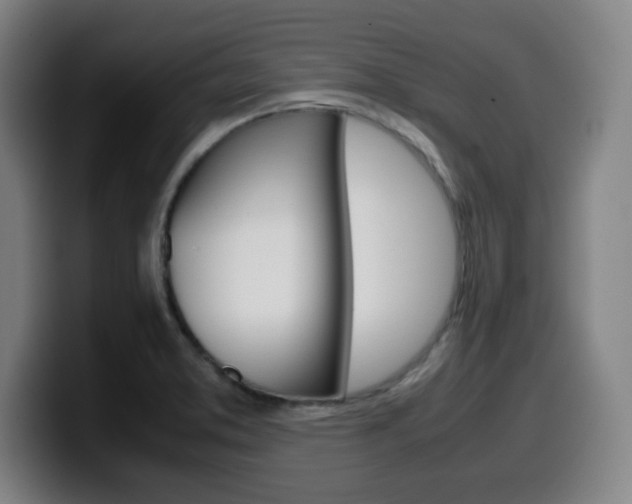 X0000099511373200805151002