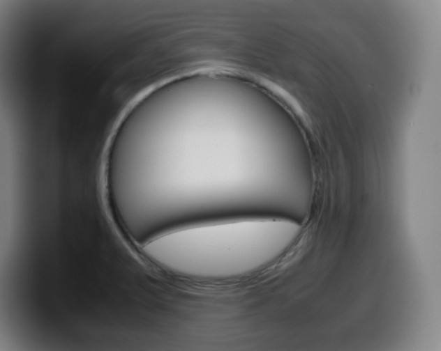 X0000099511375200805151001