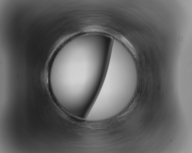 X0000099511376200805151001