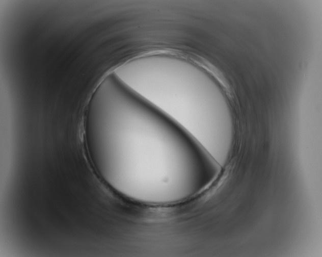 X0000099511377200805151001