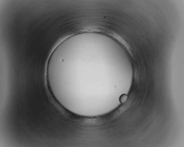 X0000099511378200805151001