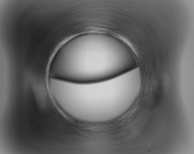 X0000099511379200805151001