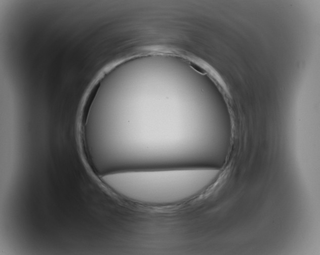 X0000099511381200805151001