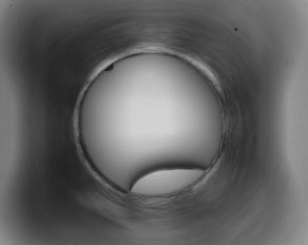 X0000099511382200805151001