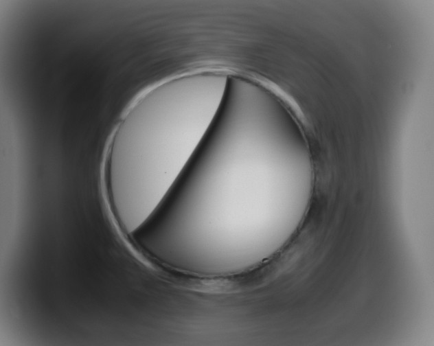 X0000099511383200805151001