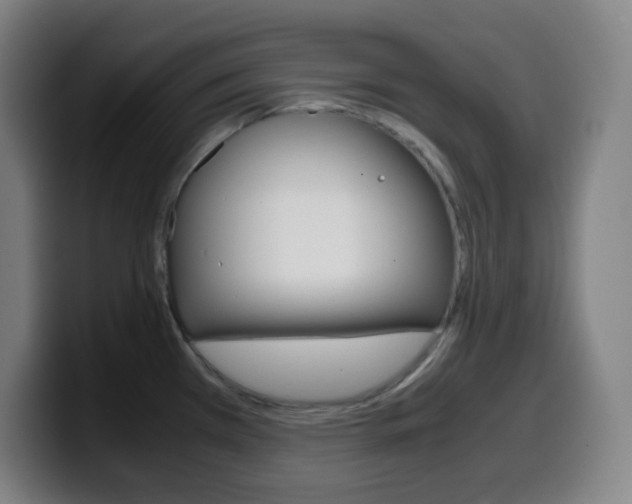 X0000099511385200805151001