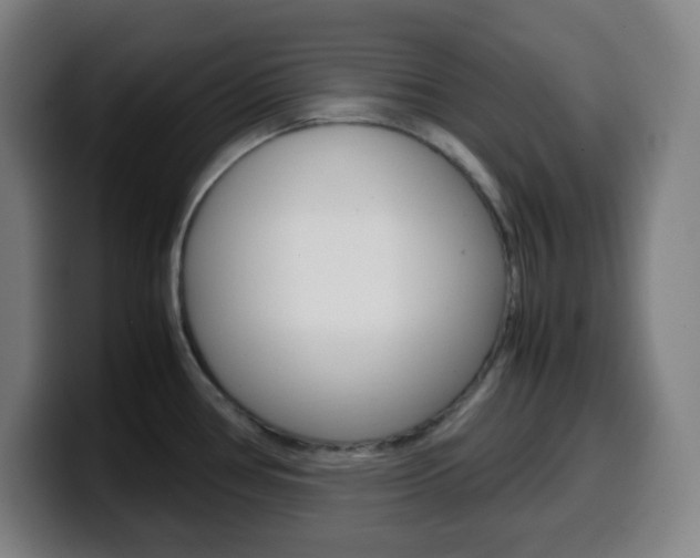 X0000099511386200805151001