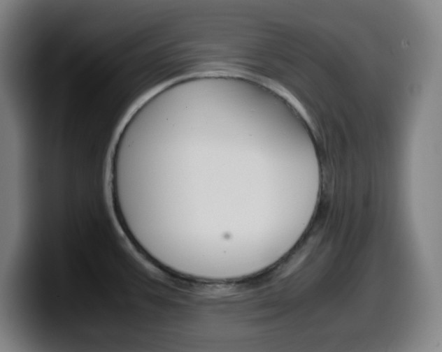X0000099511387200805151001