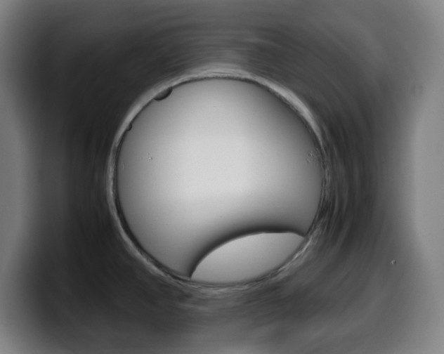 X0000099511390200805151001
