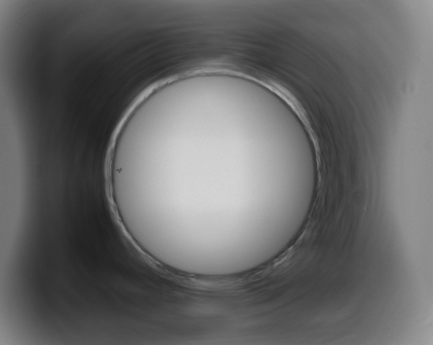 X0000099511392200805151001