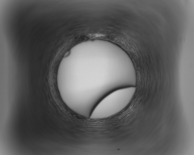 X0000099511393200805151000