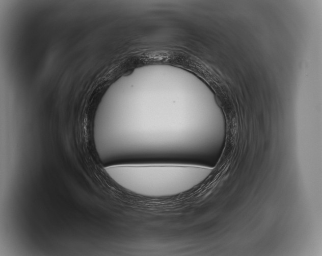 X0000099511394200805151000