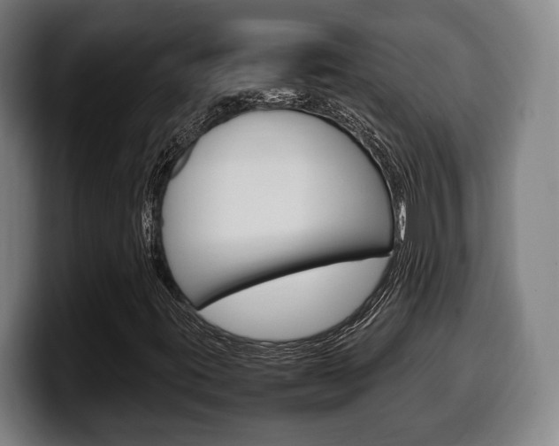 X0000099511395200805151000