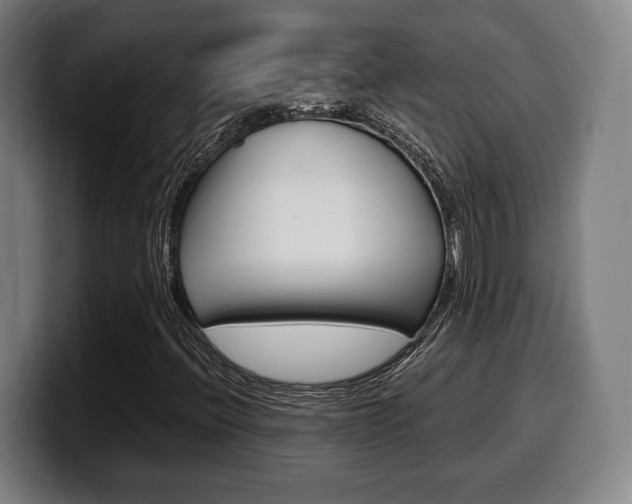 X0000099511396200805151000