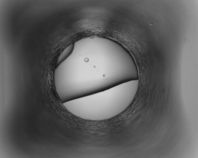 X0000099511397200805151000