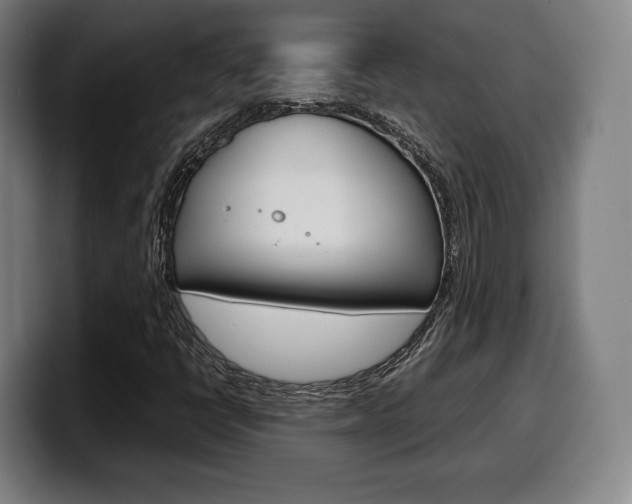 X0000099511398200805151000