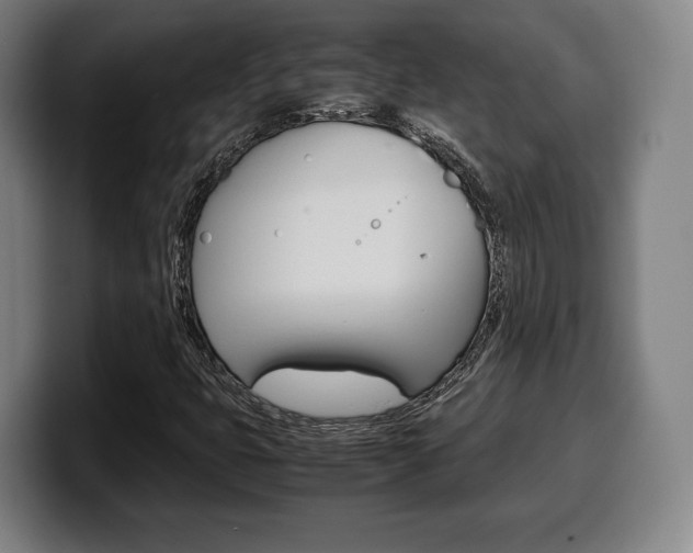 X0000099511399200805151000