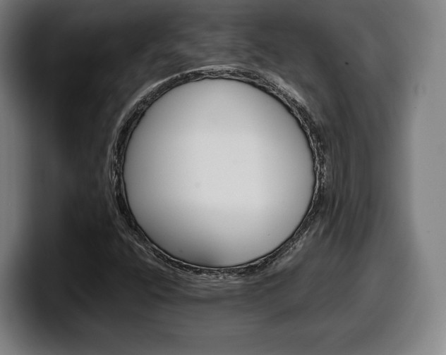 X0000099511400200805151000