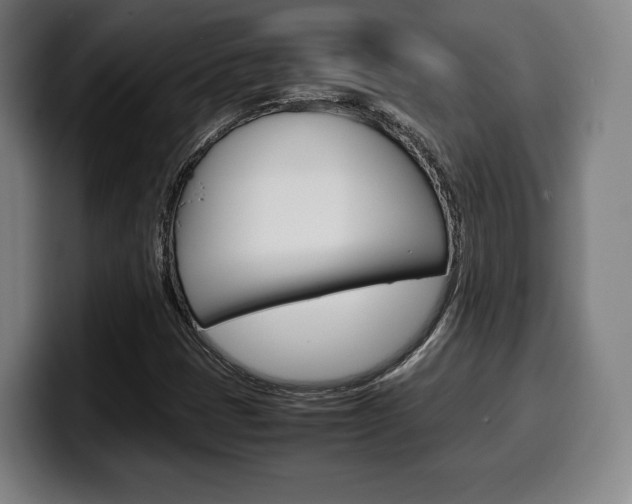 X0000099511401200805151001