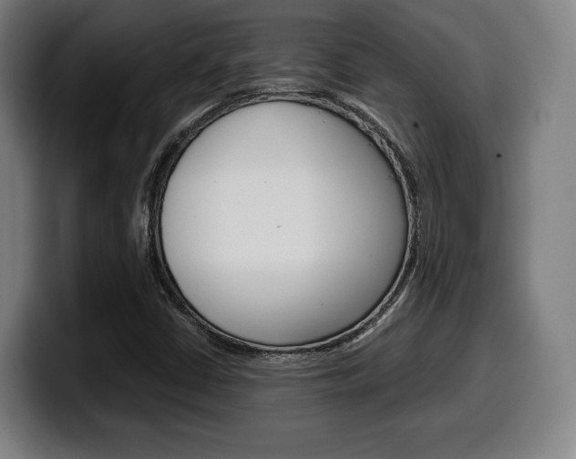 X0000099511402200805151001