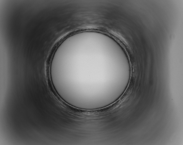 X0000099511404200805151001