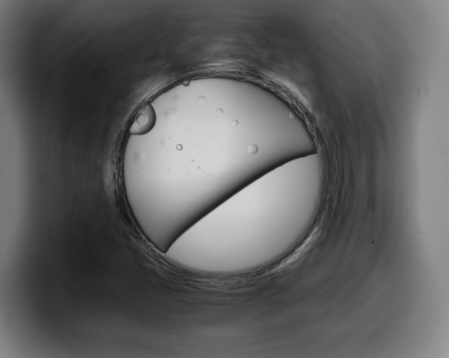 X0000099511405200805151001