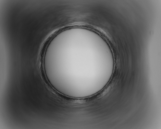 X0000099511406200805151001