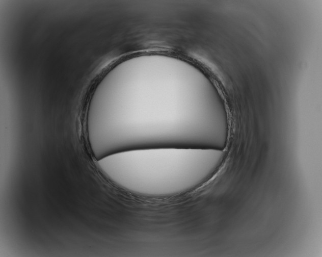 X0000099511407200805151001