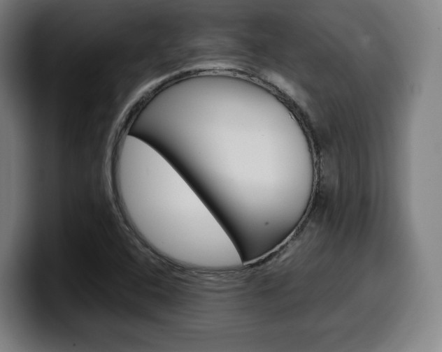 X0000099511408200805151001