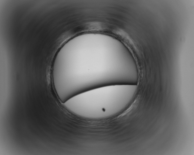 X0000099511409200805151001