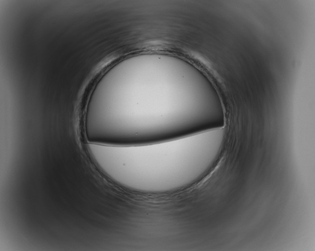 X0000099511410200805151001
