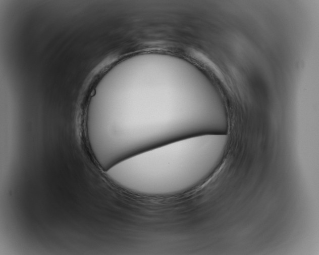 X0000099511411200805151001
