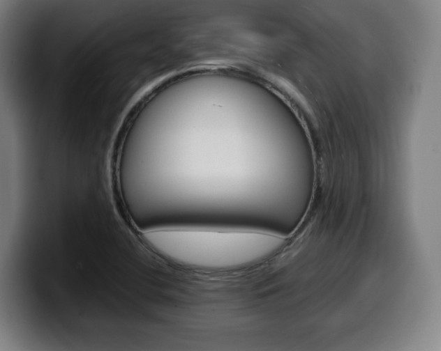 X0000099511412200805151001