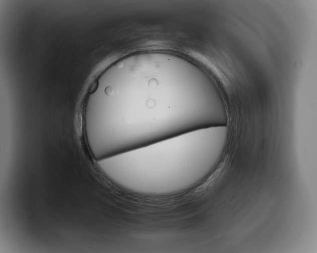 X0000099511413200805151001