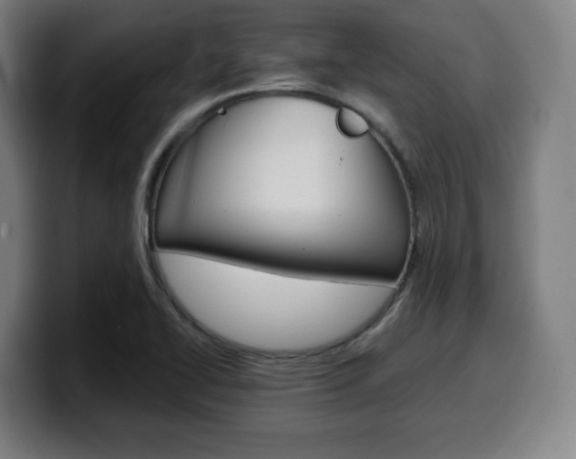 X0000099511414200805151001