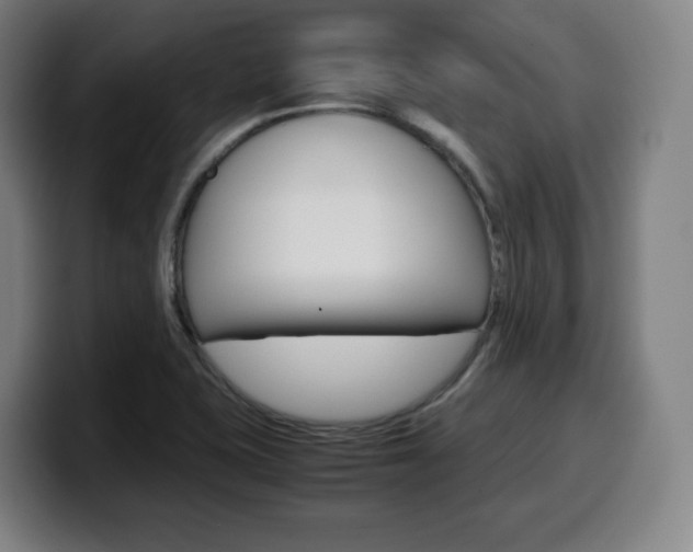 X0000099511415200805151001