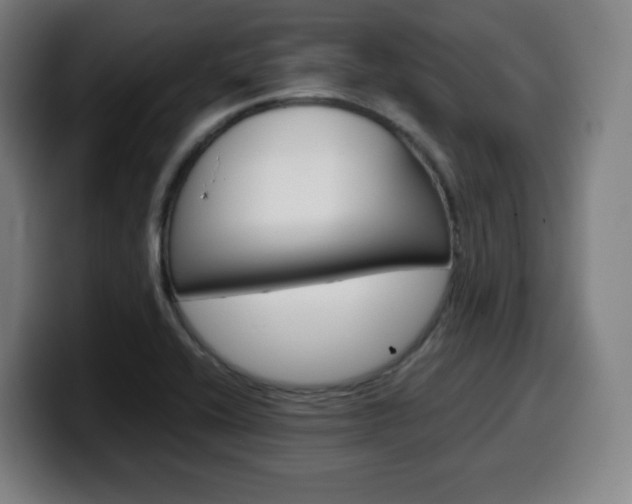 X0000099511416200805151001