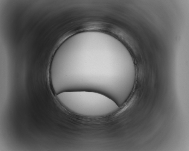 X0000099511417200805151001