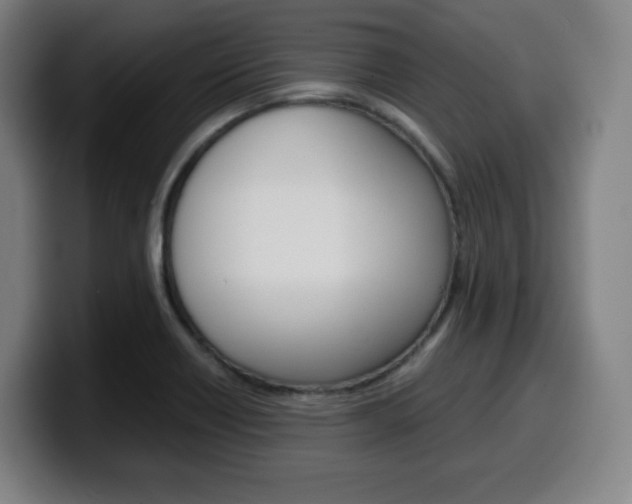 X0000099511418200805151001