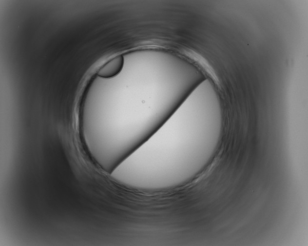 X0000099511419200805151001