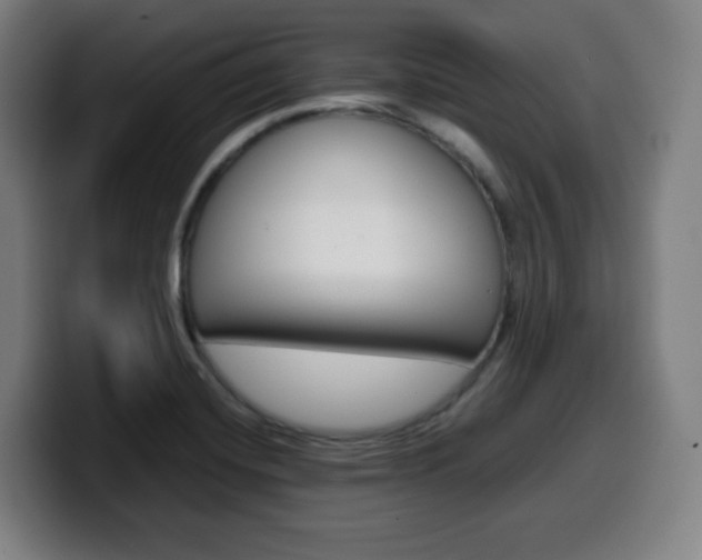 X0000099511420200805151001