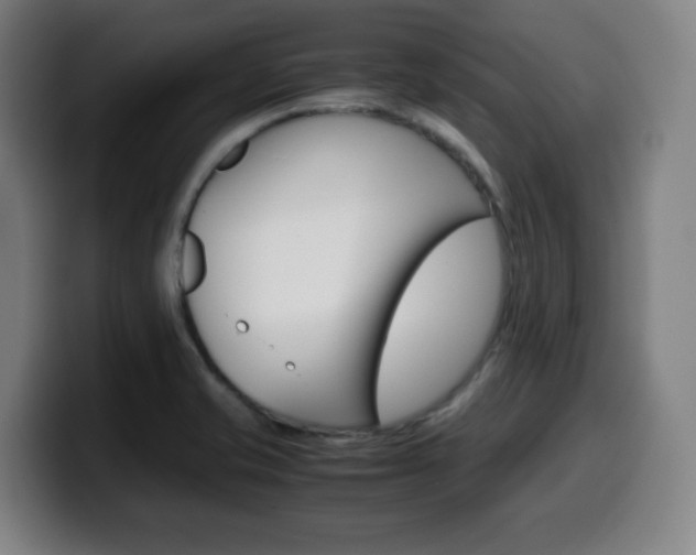 X0000099511421200805151001