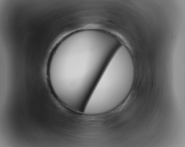 X0000099511422200805151001